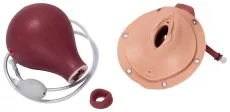 Modul Postpartale Blutung für R17860