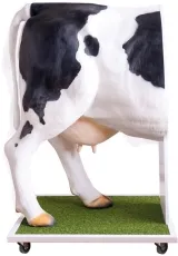 Erweiterter Simulator zur künstlichen Befruchtung (KB) der Kuh