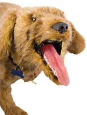 Jerry K-9 HLW Übungspuppe