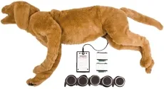 K9 Atmungs- und Herztonsimulator (AHS) Goldie
