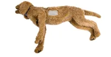 K-9 Thorakozentese