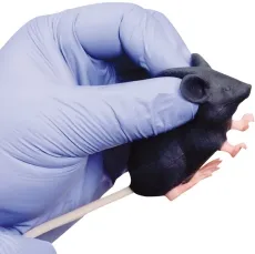 Mimicky Mouse