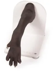 Verbandstrainer Hundepfote