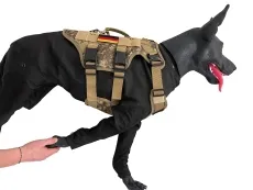 Diensthundesimulator 