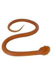 Endotracheale Intubation der Schlange