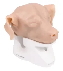 Otoskopiesimulator Hund