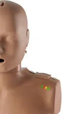 Prestan HLW-Torso mit Leuchtanzeige, 4er Pack