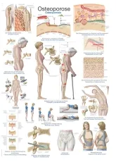 Lehrtafel 