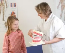 Zahnpflegemodell, 3-fache Grösse