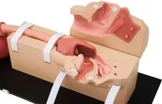 OGD-(Oesophago-Gastro-Duodenoskopie-)Simulator