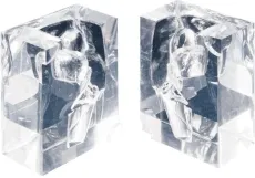 Transparentes Laryngopharynx Modell