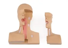 Tracheostomie Management Simulator
