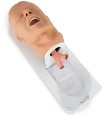 Erwachsenen – Intubationstrainer “Economy” auf Grundplatte