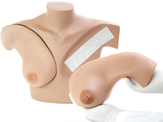 Brust Tastuntersuchungssimulator für klinische Ausbildung