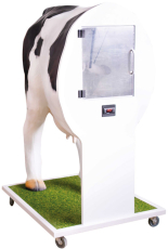 Erweiterter Simulator zur künstlichen Befruchtung (KB) der Kuh
